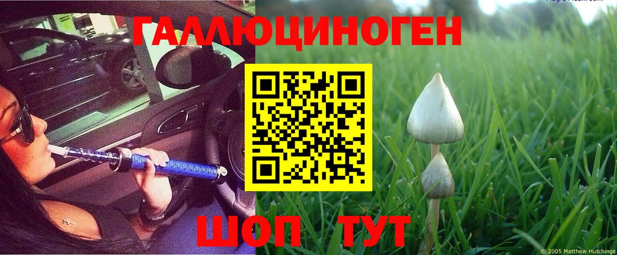 Псилоцибиновые грибы Psilocybine cubensis  Вход с VPN  Карабулак  Псилоцибиновые грибы мухоморы 